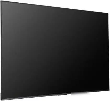 Информационная панель Hisense 55DP30FE – фото товара