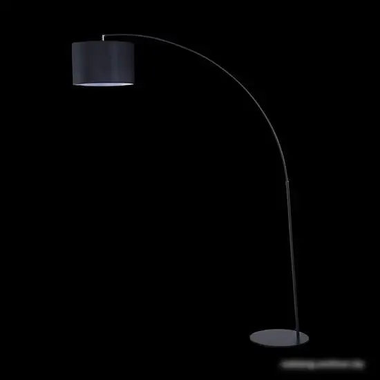 Торшер Maytoni Nevada Z328-FL-01-B – фото товара