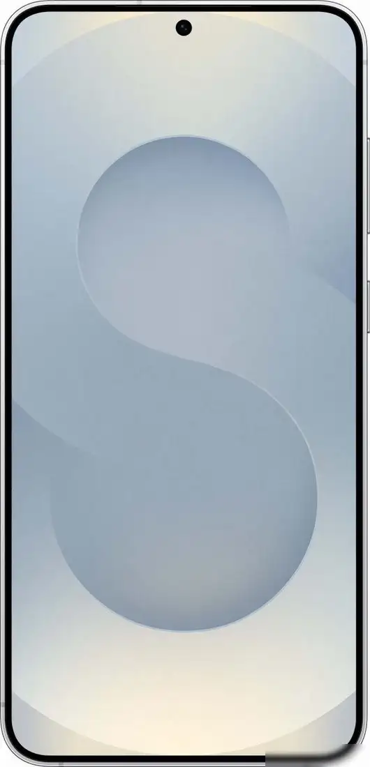 Samsung Galaxy S25+ SM-S936B 12GB/256GB (серый) – фото товара