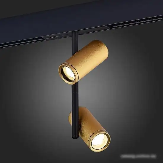 Трековый светильник ST Luce ST808.436.16  – фото товара