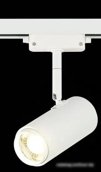 Трековый светильник ST Luce Zoom ST600.546.12 – фото товара