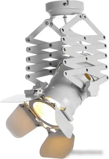 Точечный светильник LOFT IT Cinema LOFT3096-M – фото товара