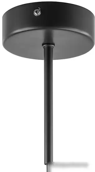 Подвесная люстра Lightstar Globo 813117 – фото товара