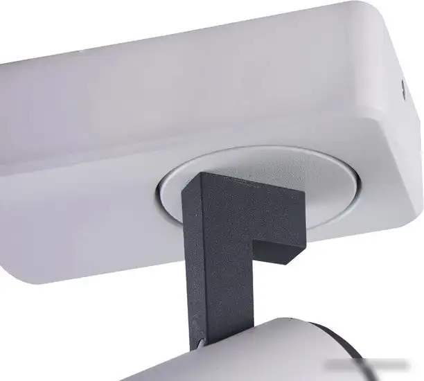 Спот Vele Luce Lexi VL8071S01 – фото товара