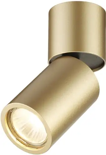 Точечный светильник Odeon Light Duetta 3895/1C – изображение в каталоге