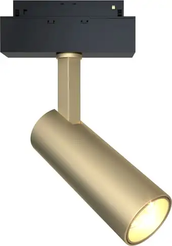 Точечный светильник Maytoni TR019-2-10W4K-MG – изображение в каталоге