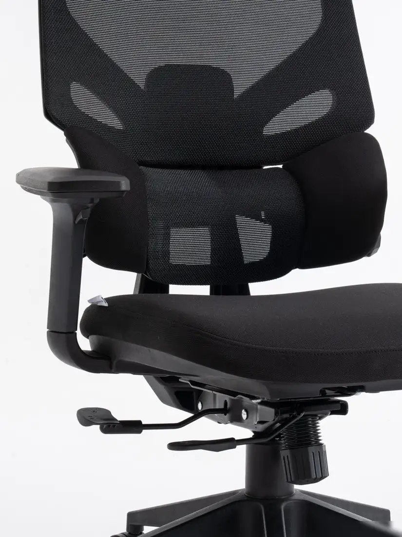 Офисное кресло Evolution LumbarPro (черный) – фото товара