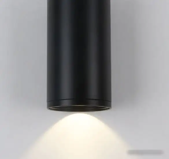 Припотолочная люстра Kinklight Фабио 08570-12,19 – фото товара