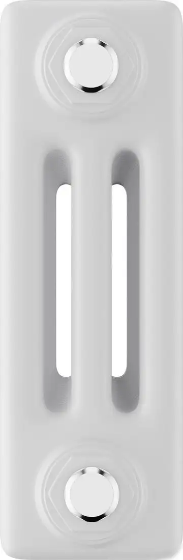 Стальной трубчатый радиатор Royal Thermo Insignia C3030 - 28 секций RAL9016 - фото товара