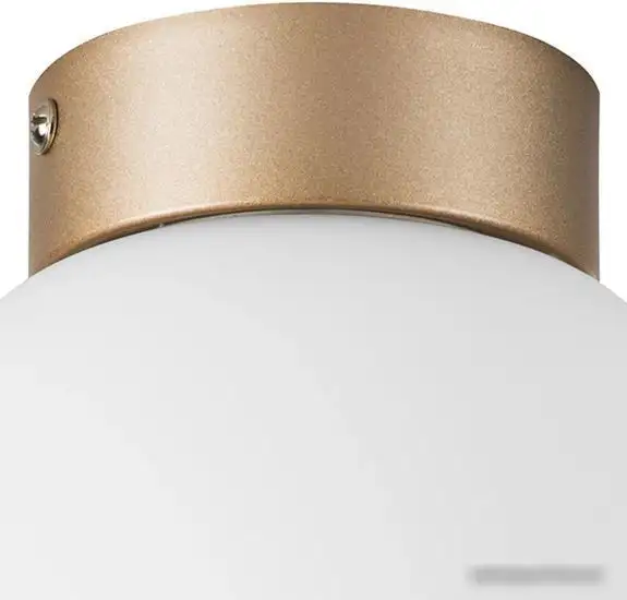 Припотолочная люстра Lightstar Globo 812013 – фото товара