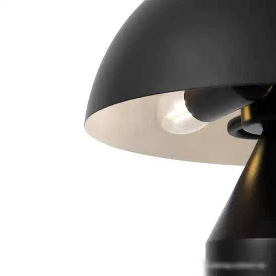 Настольная лампа Freya Eleon FR5218TL-02B1 – фото товара