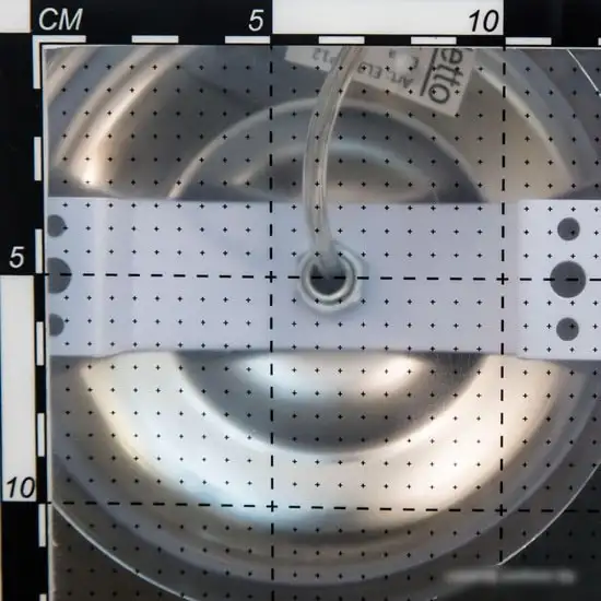 Подвесная люстра Citilux Eletto Montserrat EL338P05 – фото товара