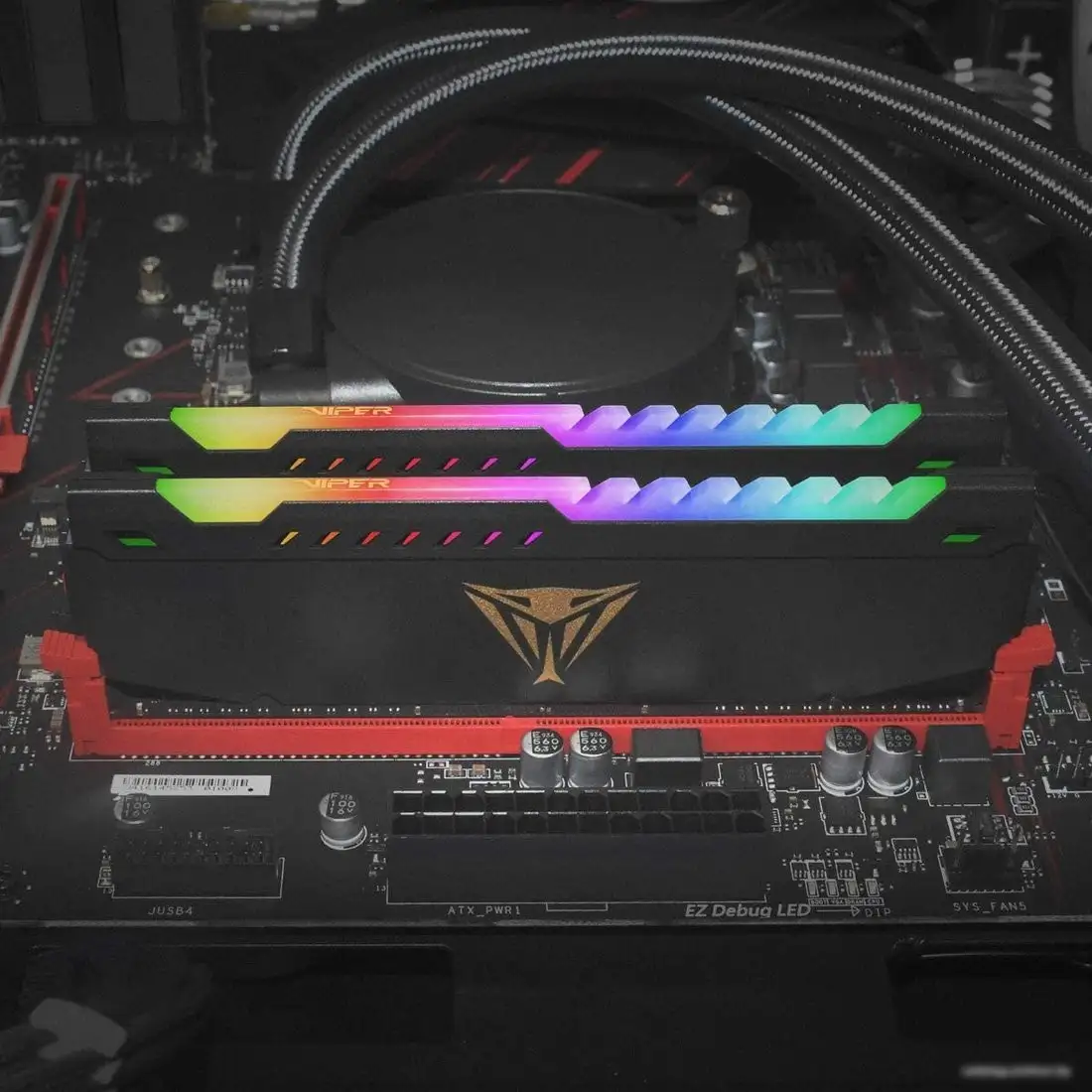 Оперативная память Patriot Viper Steel RGB 8GB DDR4 PC4-25600 PVSR48G320C8 – фото товара