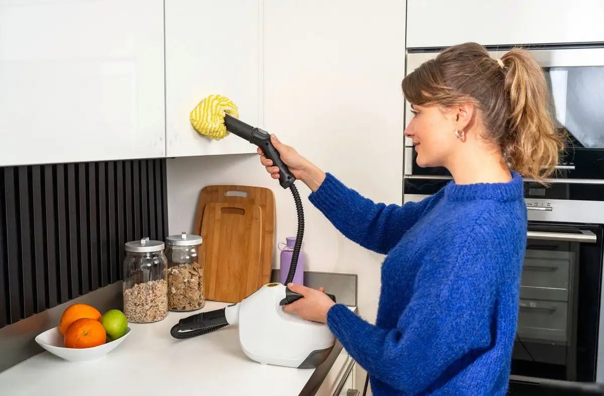 Отпариватель Karcher SC 1 Multi Comfort 1.516-416.0 - фото товара