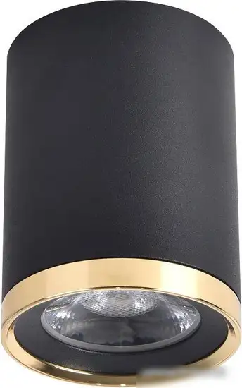 Точечный светильник Favourite 3086-1C – фото товара