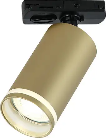 Трековый светильник Imex IL.0010.0010 MG – изображение в каталоге