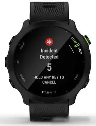Умные часы Garmin Forerunner 55 (черный) – фото товара