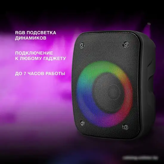 Беспроводная колонка Hyundai H-PS1005 – фото товара