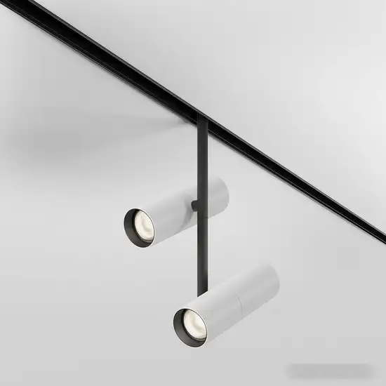 Трековый светильник Maytoni Elti Duo TR005-2-2X12W4K-BW – фото товара