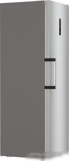 Однокамерный холодильник Gorenje R619EAXL6 - фото товара