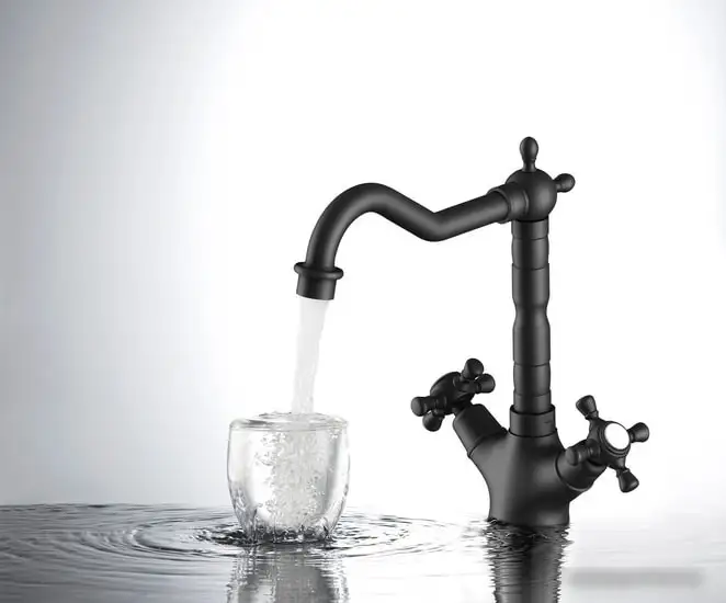 Смеситель Timo Nelson 0143/03F (черный) - фото товара