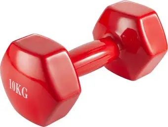 Гантель VictoryFit VF-DV0100 10 кг