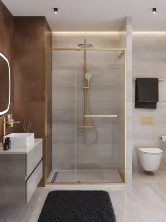 Душевая дверь Cezares LUX-B-FS-11-120-C-BORO - изображение в каталоге