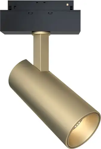 Точечный светильник Maytoni TR019-2-15W4K-MG – изображение в каталоге