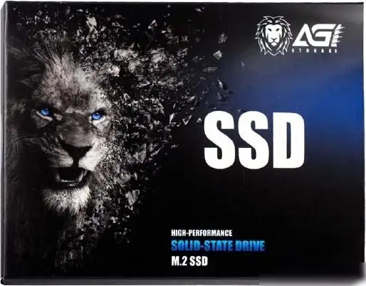 SSD AGI AI198 256GB AGI256G66AI198 – фото товара