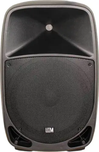 Колонка для вечеринок Leem PR-15HR – изображение в каталоге