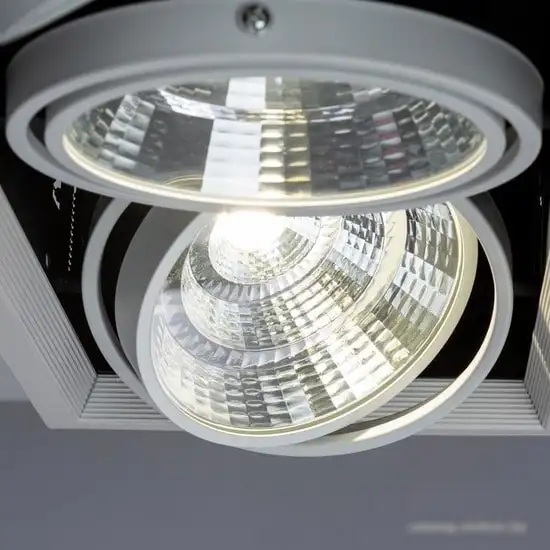 Точечный светильник Arte Lamp Merga A8450PL-3WH – фото товара