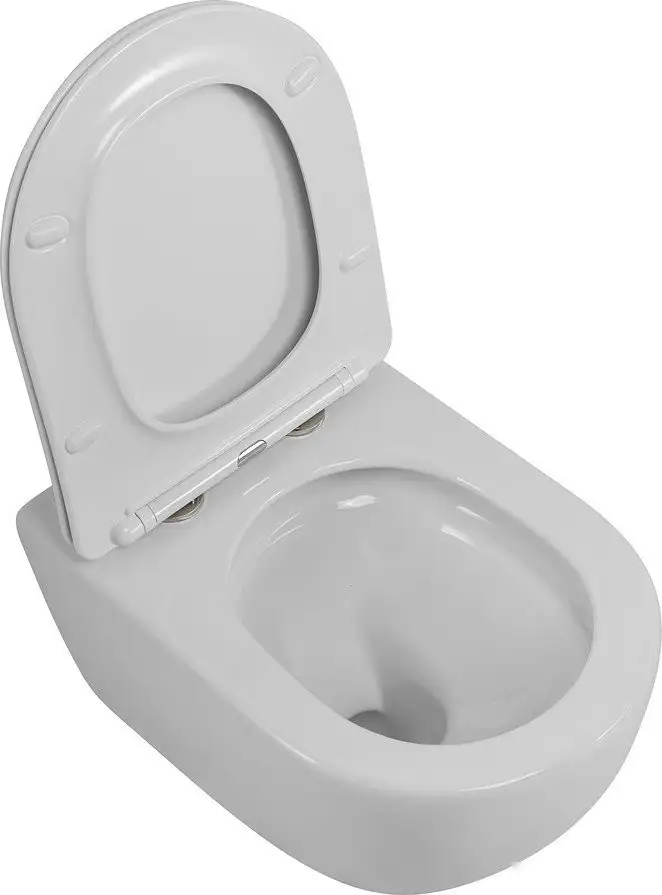 Унитаз подвесной Cezares Stream CZR-2426-TH-TOR/SC - фото товара