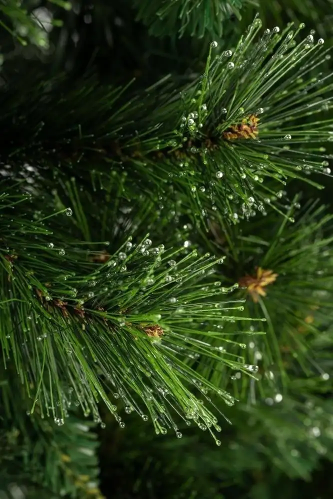 Ель Winter Fun Drop SZ810-210 2.1 м – фото товара