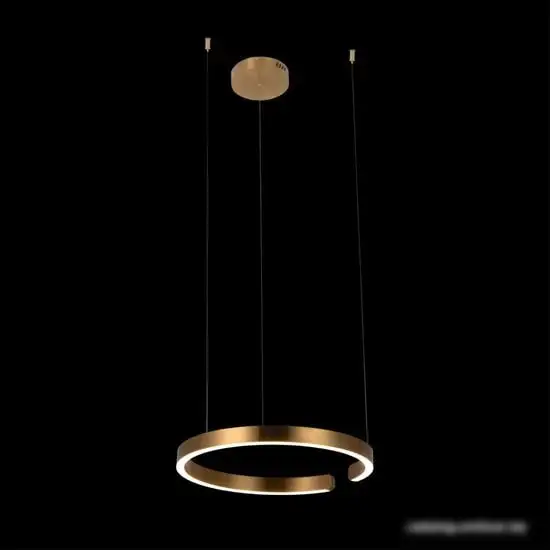 Подвесная люстра LOFT IT Ring 10013M – фото товара