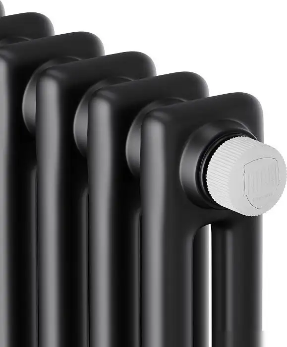 Royal Thermo Insignia VC2180 - 12 секций RAL9005m - фото товара