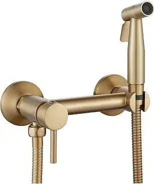 Гигиенический душ Shevanik S107G - изображение в каталоге