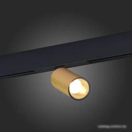 Трековый светильник ST Luce ST807.436.12  – фото товара