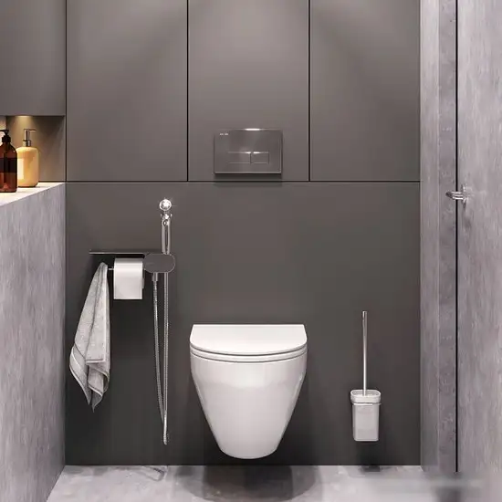 Унитаз подвесной AM.PM Spirit V2.0 CK70H1003W (с гигиеническим душем) - фото товара