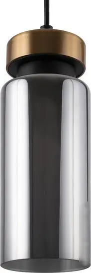 Подвесная люстра Freya Come FR8011PL-01GB – фото товара