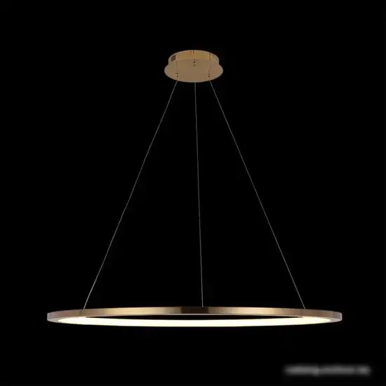 Подвесная люстра LOFT IT Ring 10014XL – фото товара
