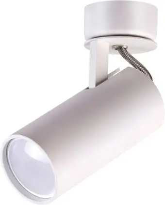 Спот Odeon Light Corse 3873/1C – изображение в каталоге