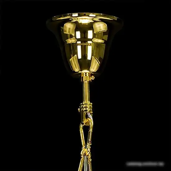 Люстра Lightstar Schon 790062 – фото товара