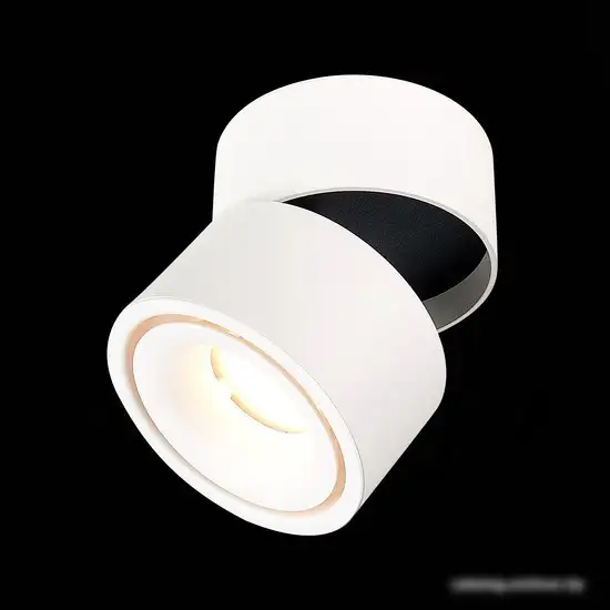 Припотолочная люстра ST Luce ST652 ST652.542.12 – фото товара