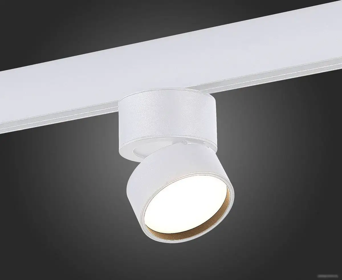 Трековый светильник ST Luce SKYLine 48 ST809.536.09 – фото товара