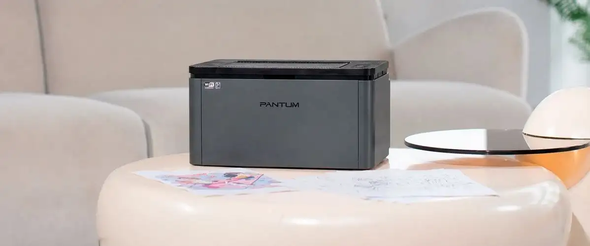 Принтер Pantum BP2302W – фото товара