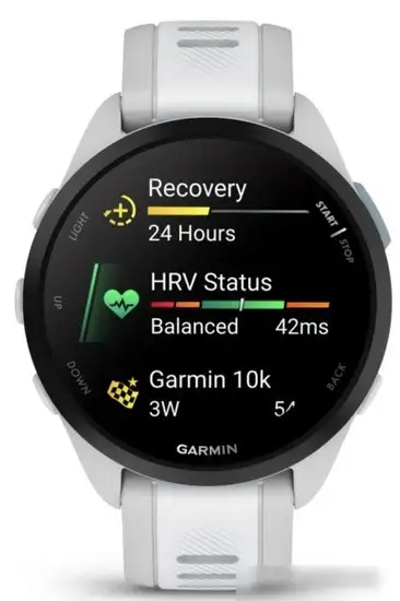 Умные часы Garmin Forerunner 165 (туманно-серый/белый камень) – фото товара