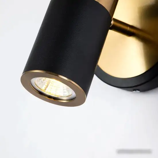 Спот Favourite Light Point 2997-1W – фото товара