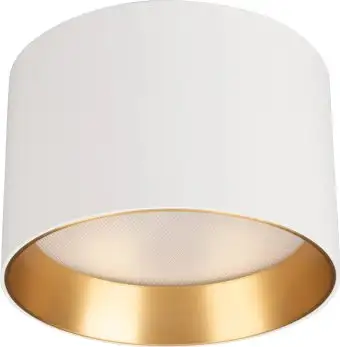 Точечный светильник Arlight SP-BISCOTTO-R120-12W Warm3300-MIX WH-GD 80deg 054914 – изображение в каталоге