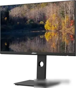 Монитор Dahua DHI-LM24-P301A – фото товара