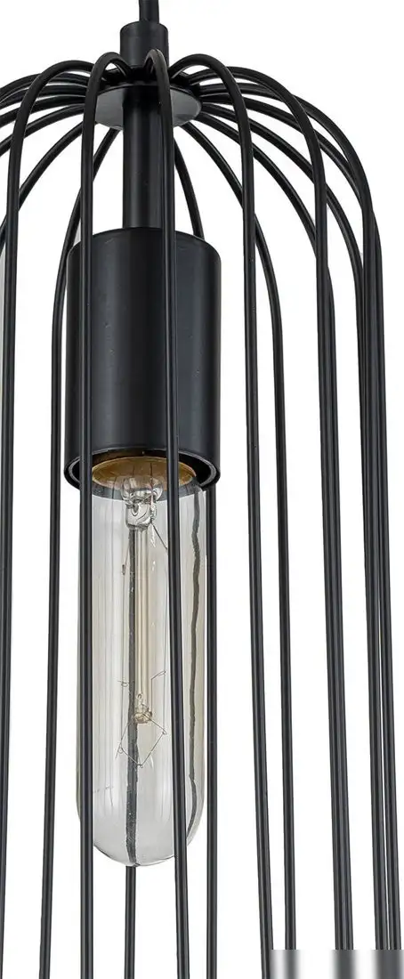 Подвесная люстра Escada Phoenix 10198/1S – фото товара